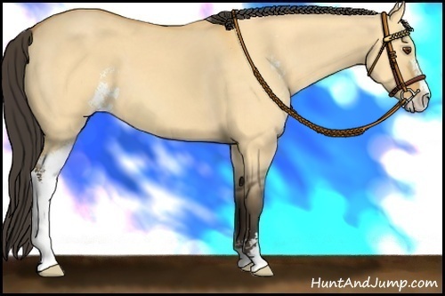 Horse Color: Buckskin Dun Sabino 