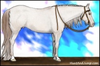 Horse Color:Brown Pearl Dun Snowcap 