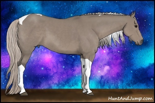 Horse Color:Silver Grullo Tobiano 