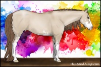 Horse Color:Grullo Pearl Sabino