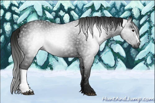 Horse Color:Gray Black 