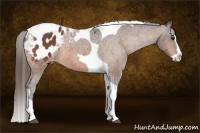 Horse Color:Bay Splash Tobiano Blanket  Brindle