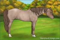 Horse Color:Blue Roan Pearl 