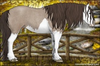 Horse Color:Classic Champagne Roan Splash 