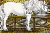 Horse Color:Cremello Roan Dun Splash 