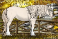Horse Color:Perlino Roan 