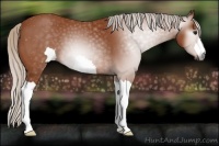 Horse Color:ERROR: UNKNOWN ANOMALY