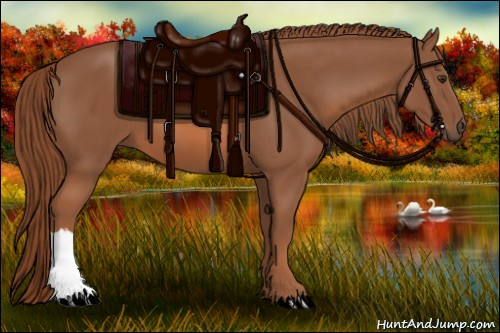 Horse Color: Liver Chestnut 