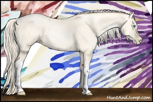 Horse Color: Gold Cream Champagne Pearl Dun 