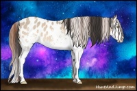Horse Color:White Spotted Sable Champagne Dun Splash Near Leopard 
