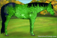 Horse Color:ERROR: UNKNOWN ANOMALY