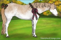 Horse Color:White Spotted Red Roan 