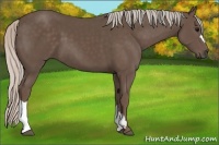 Horse Color:Silver Black 