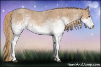 Horse Color:White Spotted Red Roan