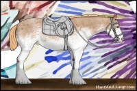 Horse Color:White Spotted Red Roan 