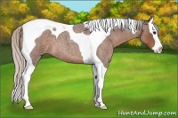 Horse Color:Silver Blue Roan Splash Tobiano 
