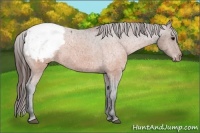 Horse Color:Brown Snowcap 