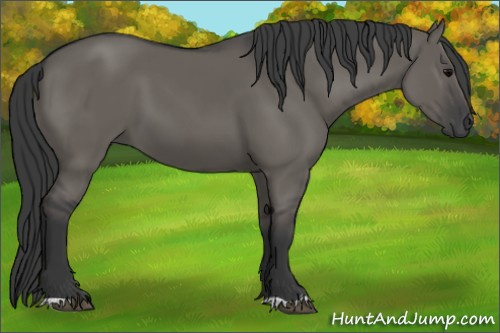 Horse Color: Grullo 