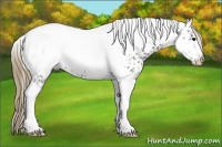 Horse Color:Smoky Blue Roan Tobiano Frame Near Leopard Rabicano 