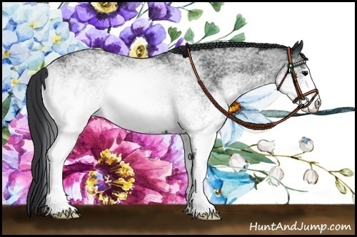 Horse Color: White Spotted Blue Roan 