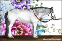 Horse Color:White Spotted Blue Roan 