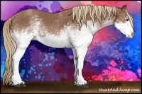Horse Color:White Spotted Red Roan 