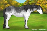 Horse Color:White Spotted Blue Roan 