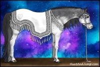 Horse Color:White Spotted Blue Roan 