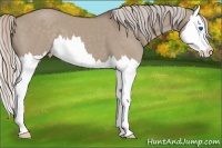 Horse Color:Silver Grullo Splash 