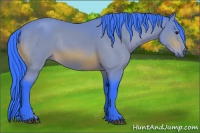 Horse Color:Watercolor Bay Rabicano 