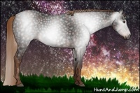 Horse Color:Gray Liver Chestnut  Brindle