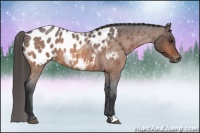 Horse Color:Bay Roan Near Leopard Rabicano 