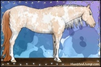 Horse Color:White Spotted Buckskin Ice Pearl 