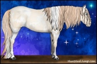 Horse Color:White Spotted Classic Cream Champagne Pearl Sabino 