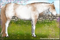 Horse Color:White Spotted Chestnut Sabino Rabicano