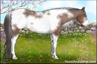 Horse Color:Bay Sabino Tobiano Frame Varnish 