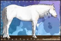 Horse Color:Amber Champagne Ice Dun Sabino Tobiano Frame 