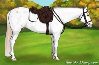 Horse Color:Red Dun Sabino Near Leopard Rabicano 