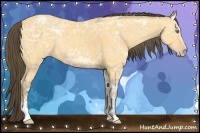 Horse Color:Amber Cream Champagne Ice Sabino 