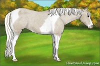 Horse Color:Silver Smoky Black Sabino Tobiano Varnish 
