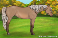 Horse Color:Silver Bay Dun 