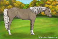 Horse Color:Silver Smoky Black