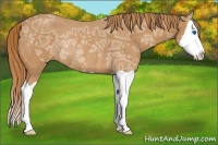 Horse Color:Chestnut Ice Splash Rabicano 