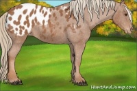Horse Color:Chestnut Sabino Blanket
