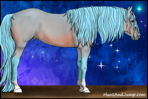 Horse Color: Watercolor Bay 