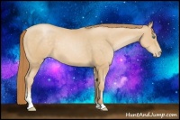 Horse Color:Smoky Black Pearl Sabino 