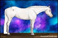 Horse Color:Silver Brown Dun Sabino Blanket 