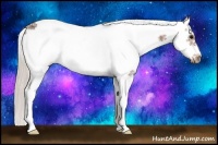 Horse Color:Silver Black Sabino Frame 