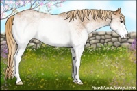 Horse Color:White Spotted Red Roan 