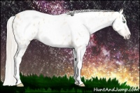 Horse Color:Gray Silver Amber Cream Champagne Roan Dun Splash Tobiano Frame Appaloosa Rabicano 